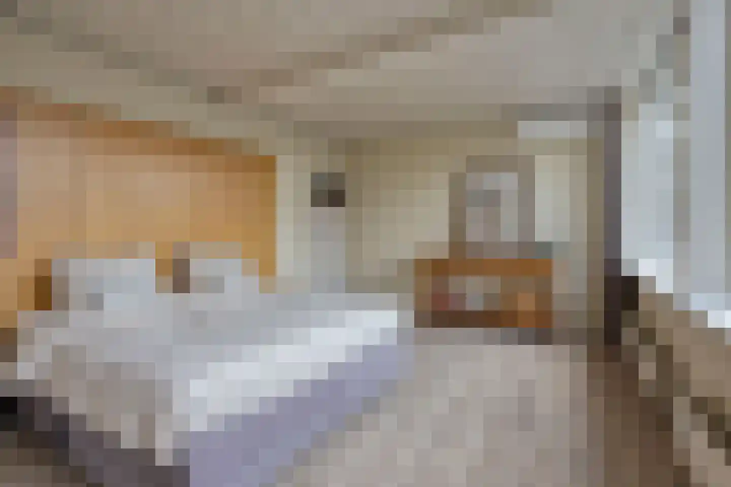 Ruusbroecgaarde 51 Oss thumbnail 17