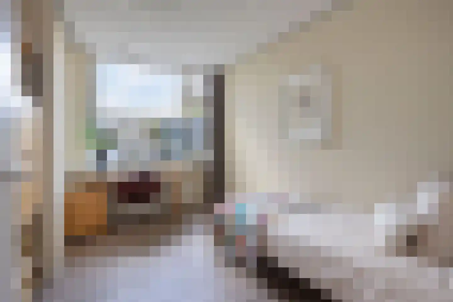 Ruusbroecgaarde 51 Oss thumbnail 19