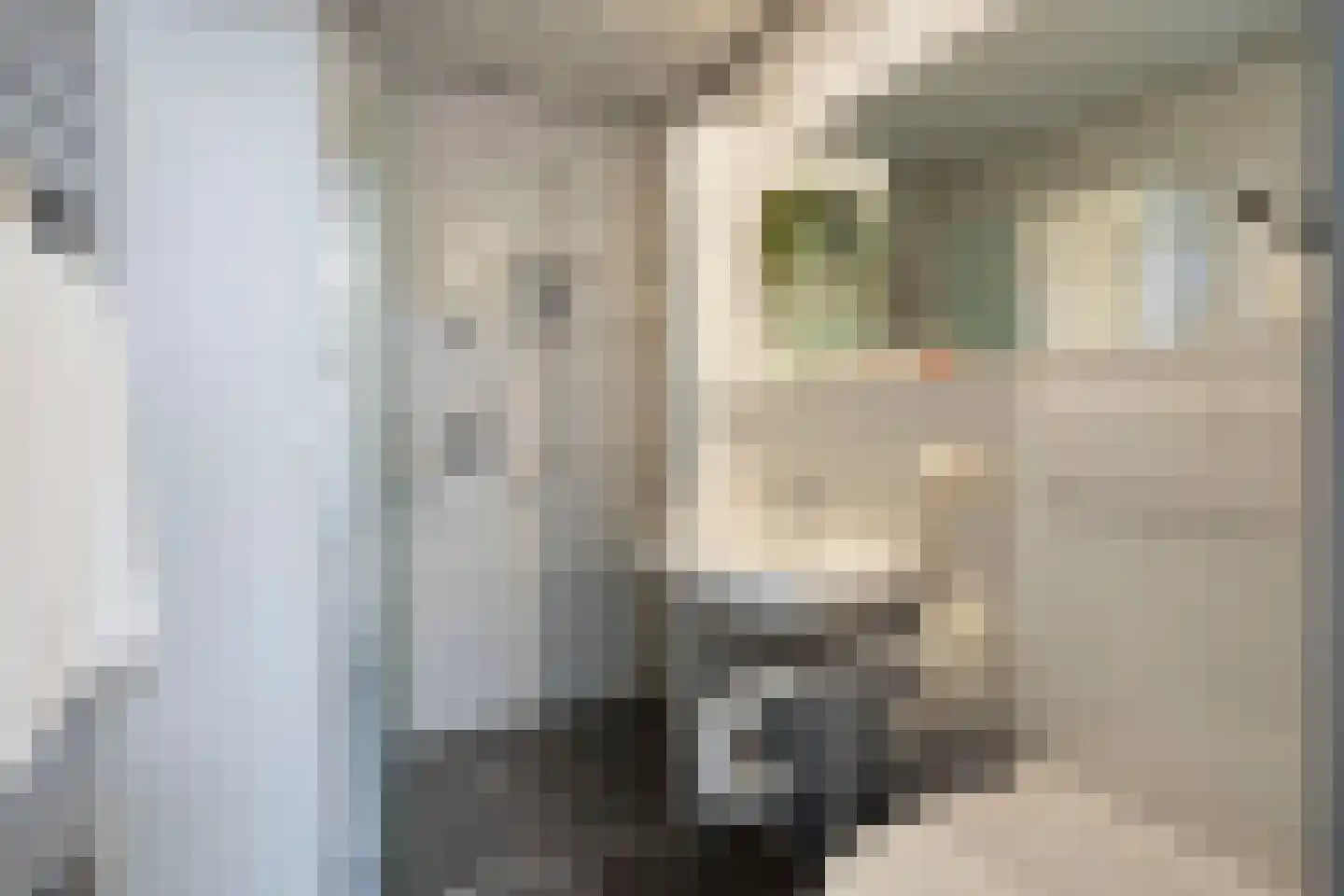 Ruusbroecgaarde 51 Oss thumbnail 20