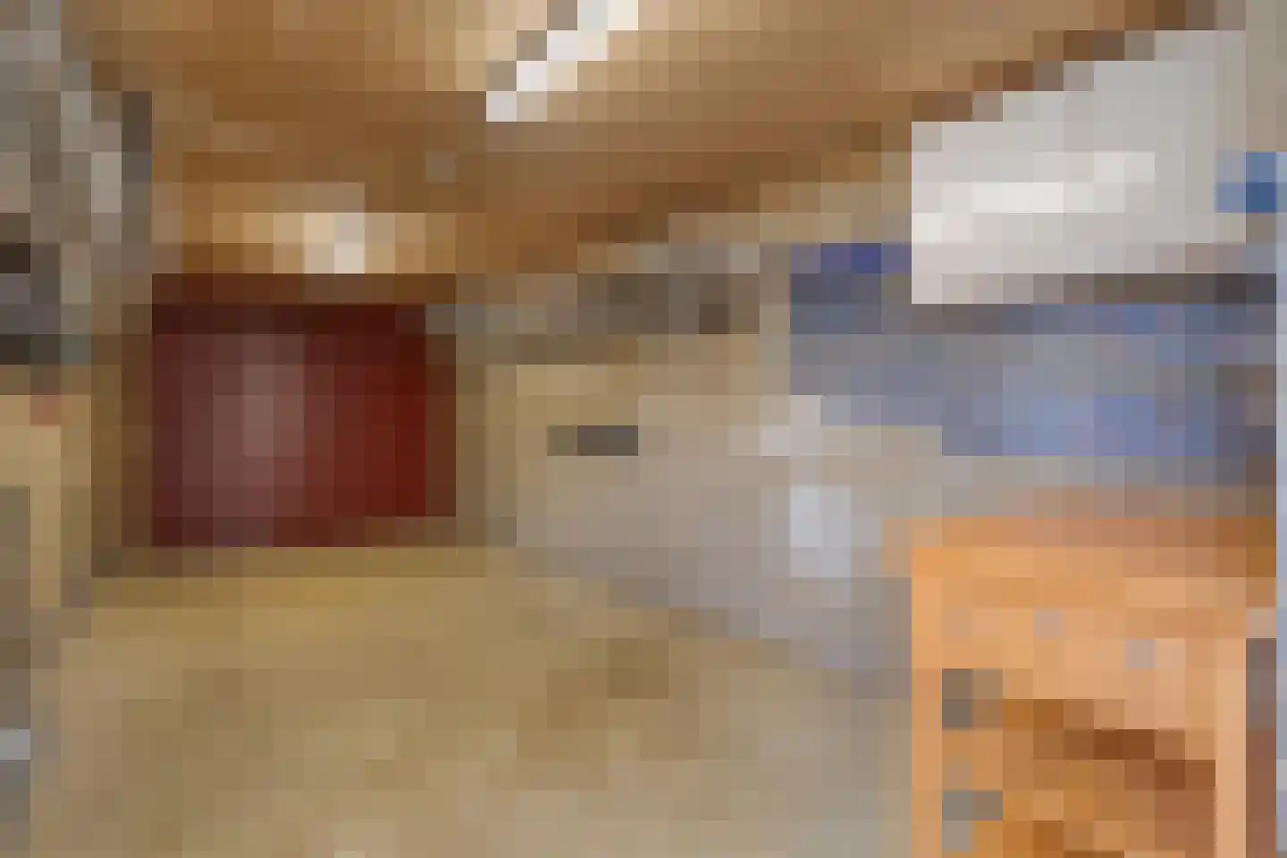 Ruusbroecgaarde 51 Oss thumbnail 23
