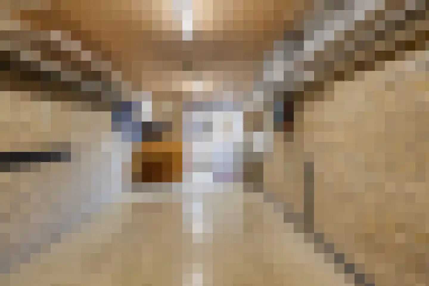 Ruusbroecgaarde 51 Oss thumbnail 24