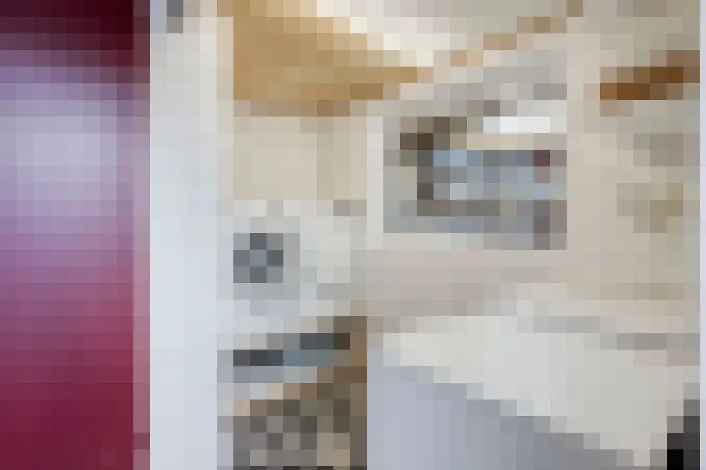 Ruusbroecgaarde 51 Oss thumbnail 25