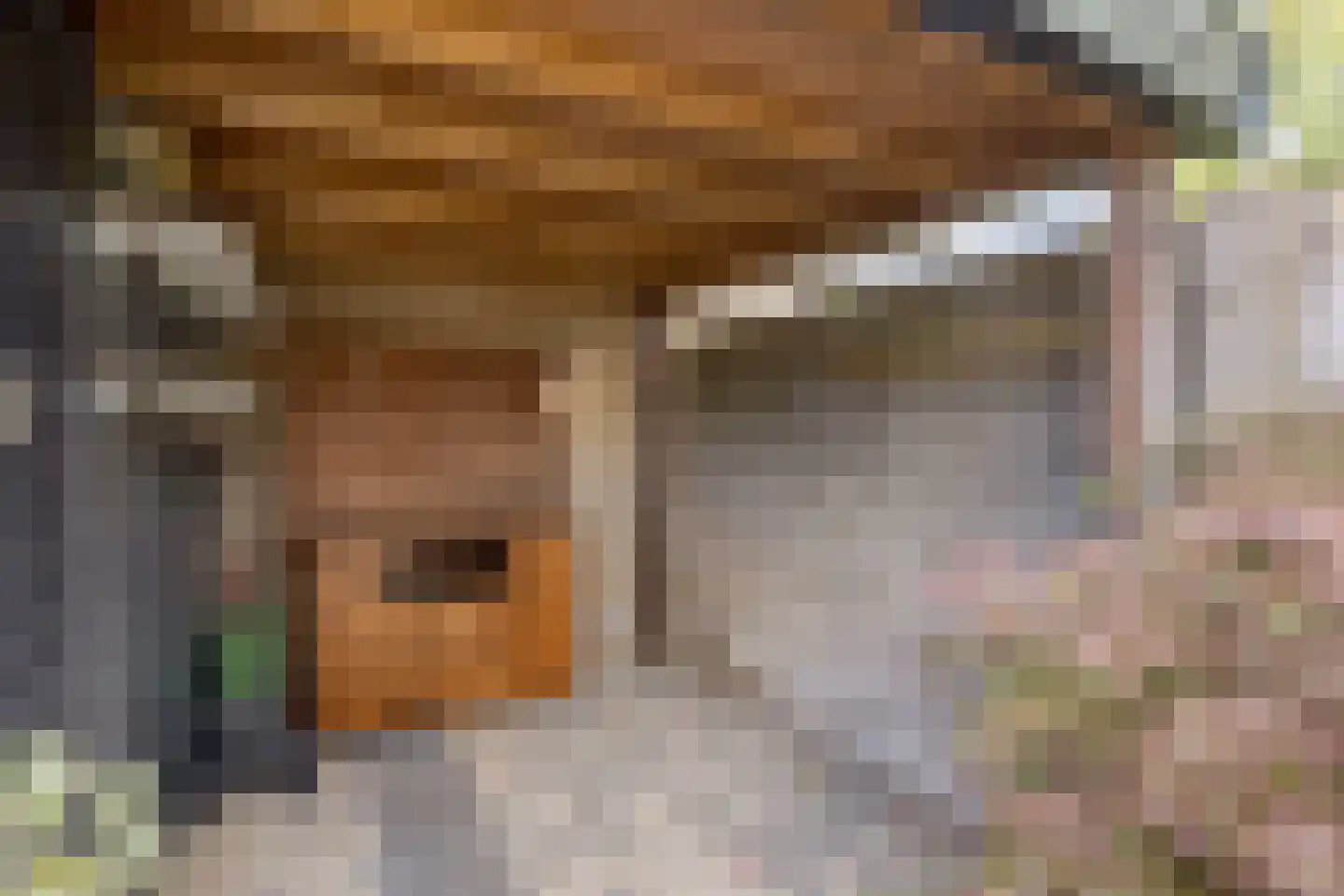 Ruusbroecgaarde 51 Oss thumbnail 29