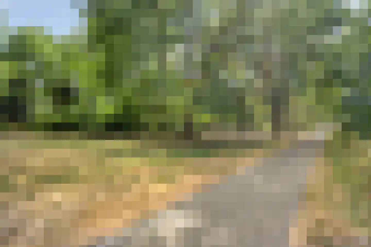 Ruusbroecgaarde 51 Oss thumbnail 33