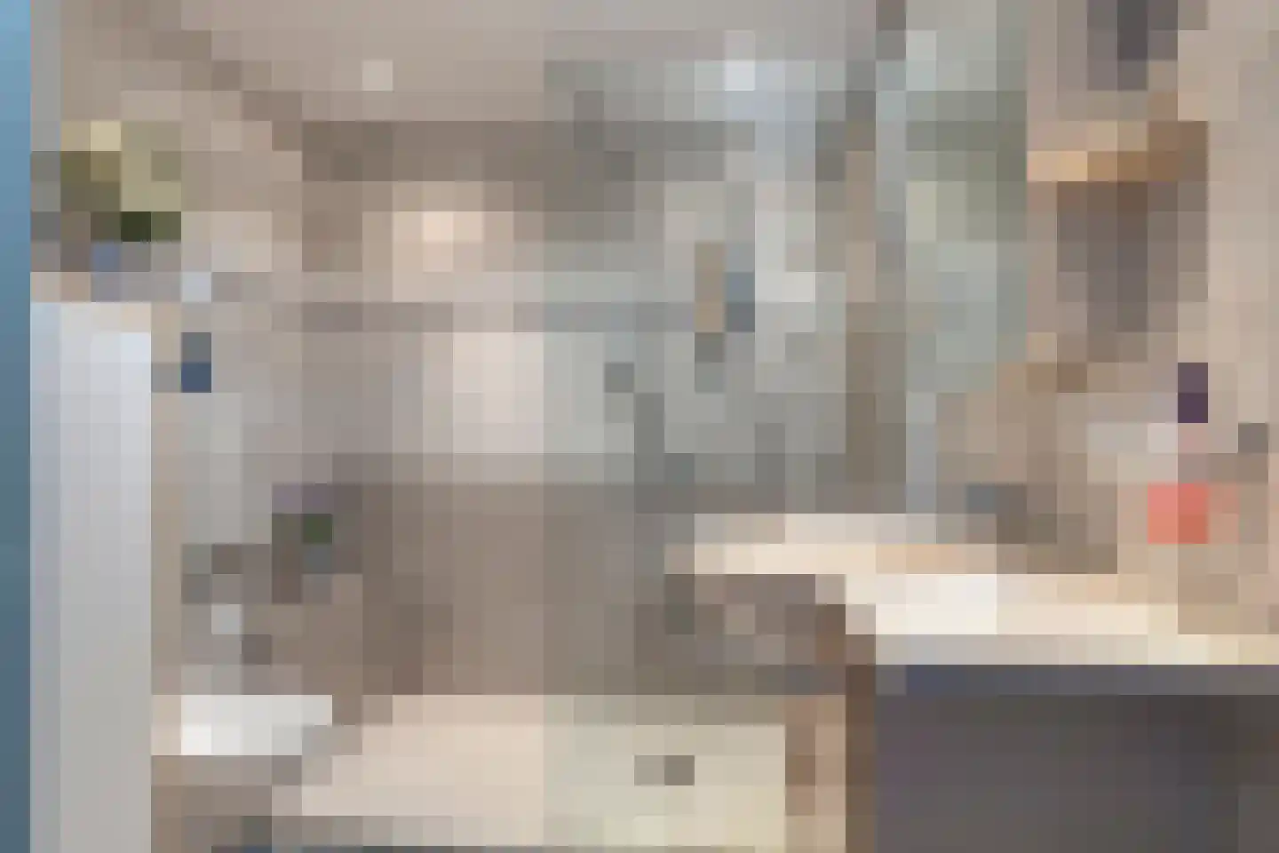 Ruusbroecgaarde 85 Oss thumbnail 17