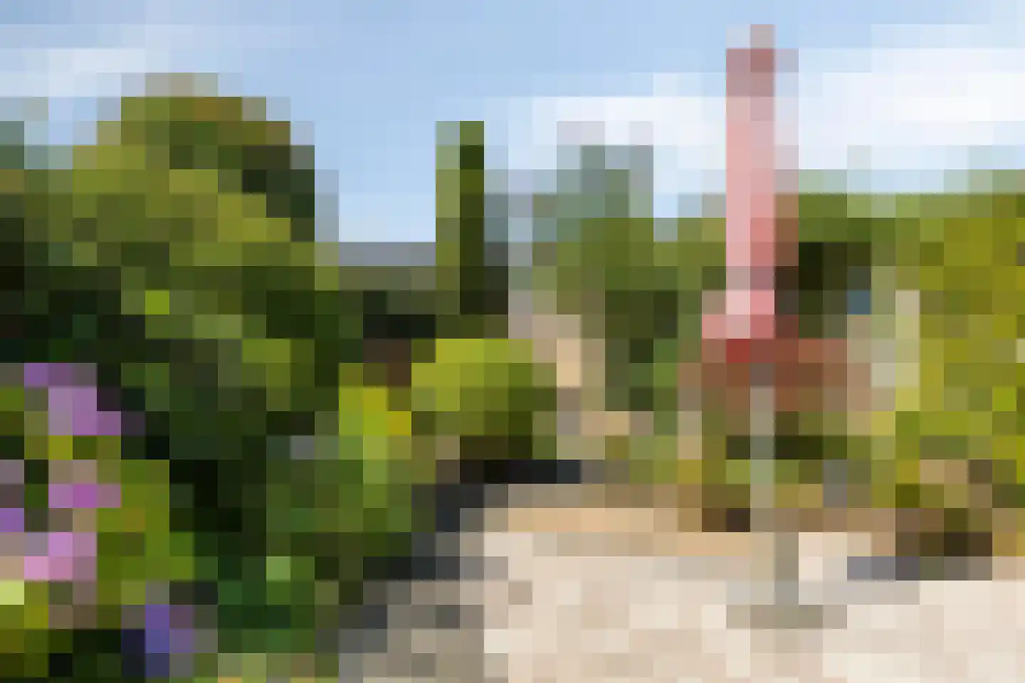 Ruusbroecgaarde 85 Oss thumbnail 21