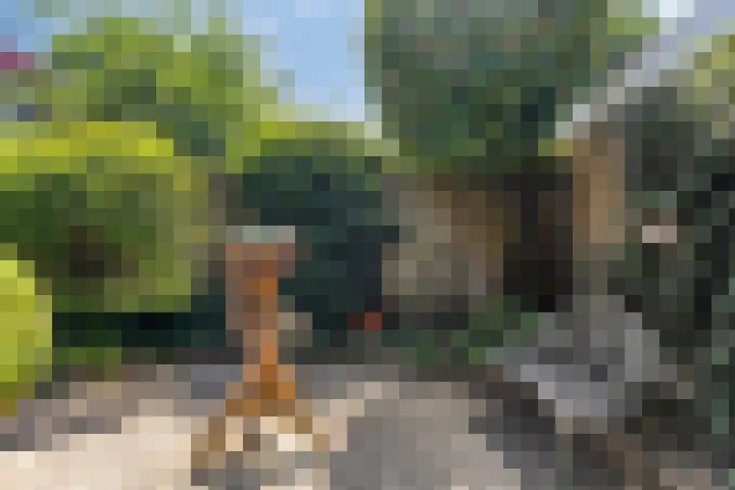 Ruusbroecgaarde 85 Oss thumbnail 22