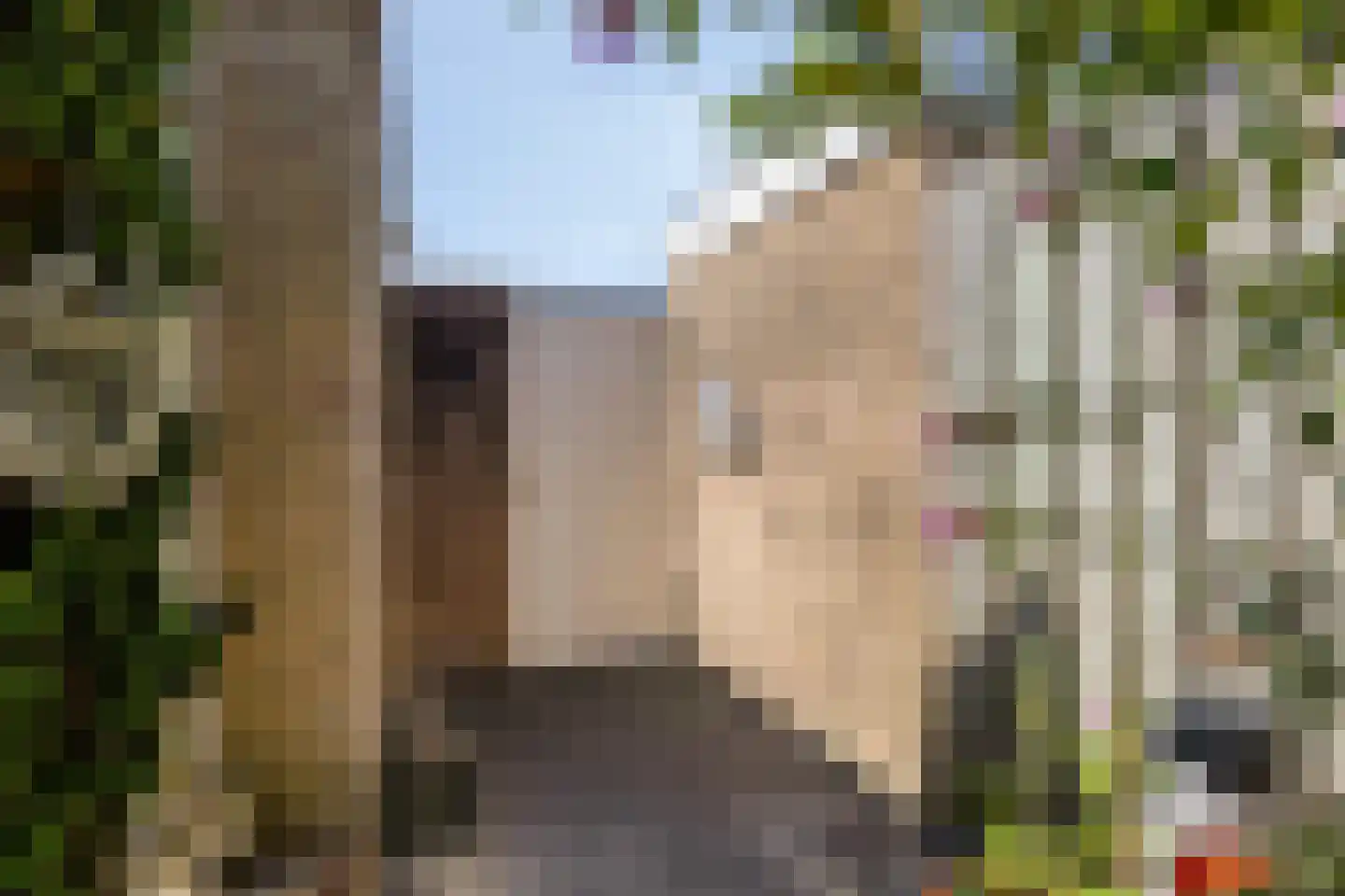 Ruusbroecgaarde 85 Oss thumbnail 23