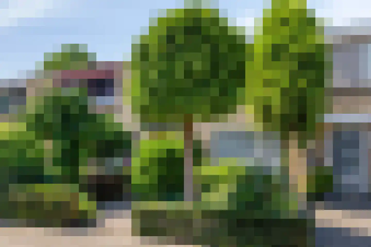 Ruusbroecgaarde 85 Oss thumbnail 26