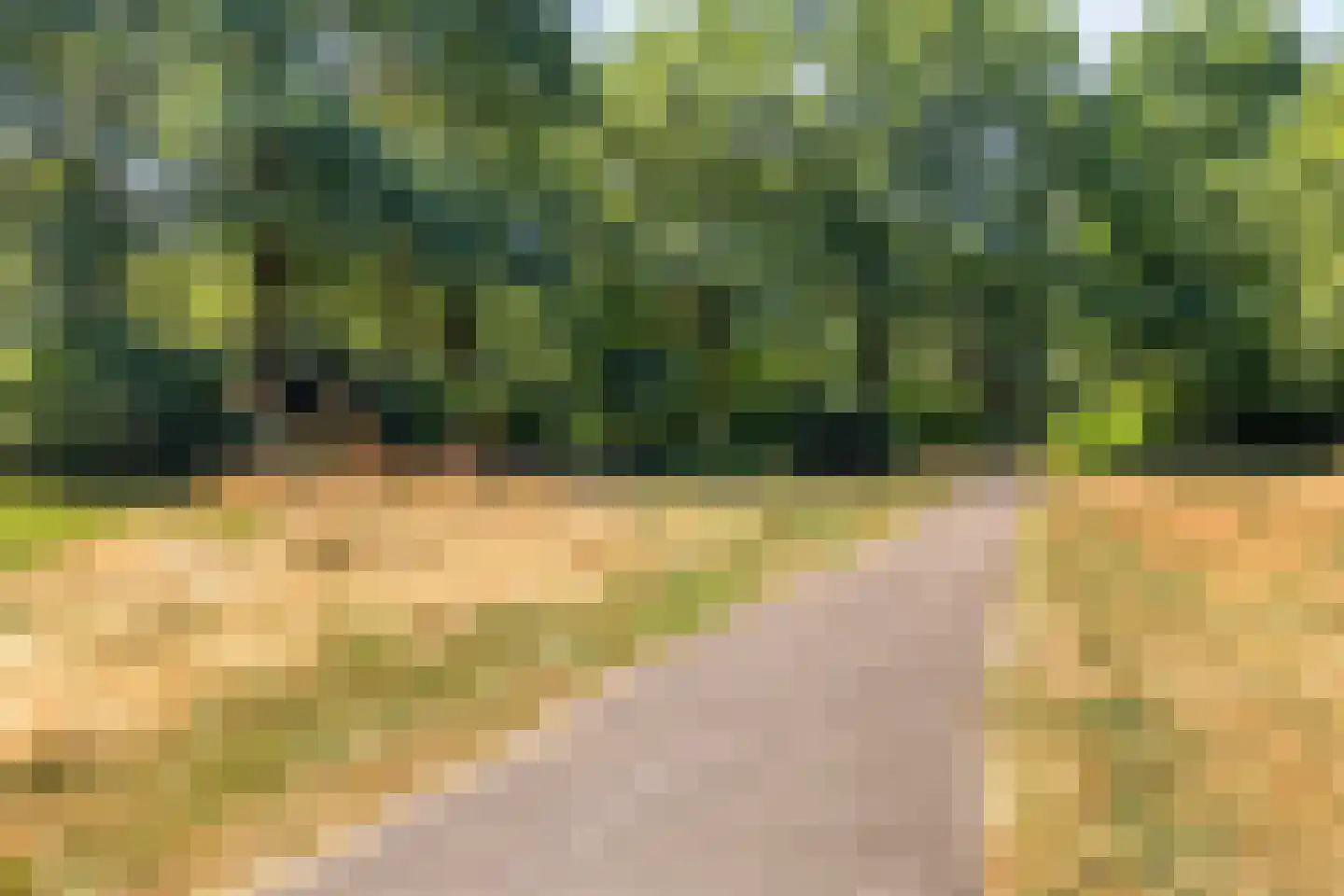Ruusbroecgaarde 85 Oss thumbnail 28