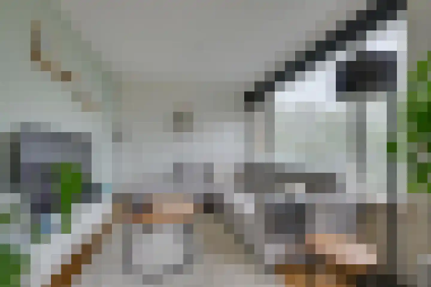 Ruusbroechof 15 Alkmaar thumbnail 10