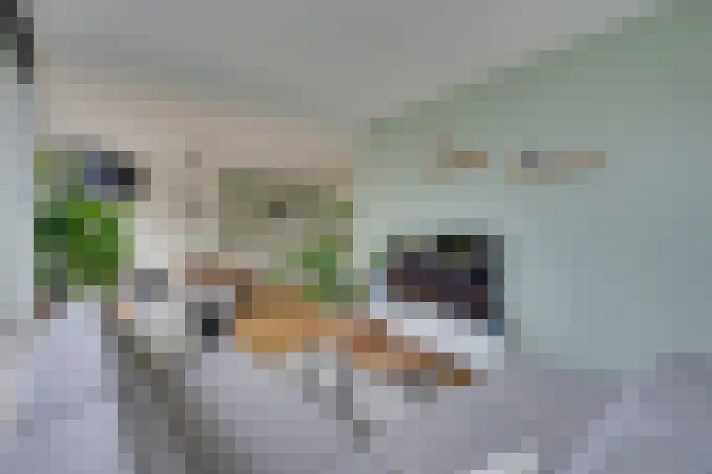 Ruusbroechof 15 Alkmaar thumbnail 12