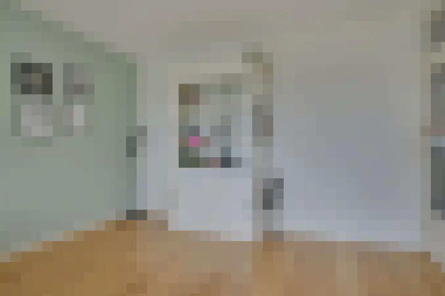 Ruusbroechof 15 Alkmaar thumbnail 14
