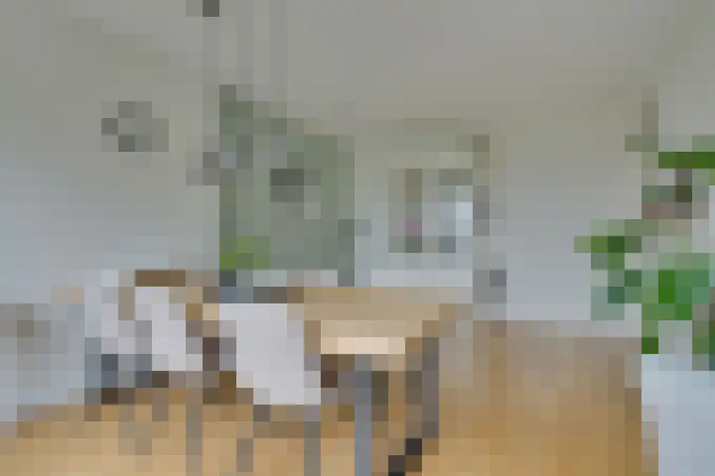Ruusbroechof 15 Alkmaar thumbnail 15