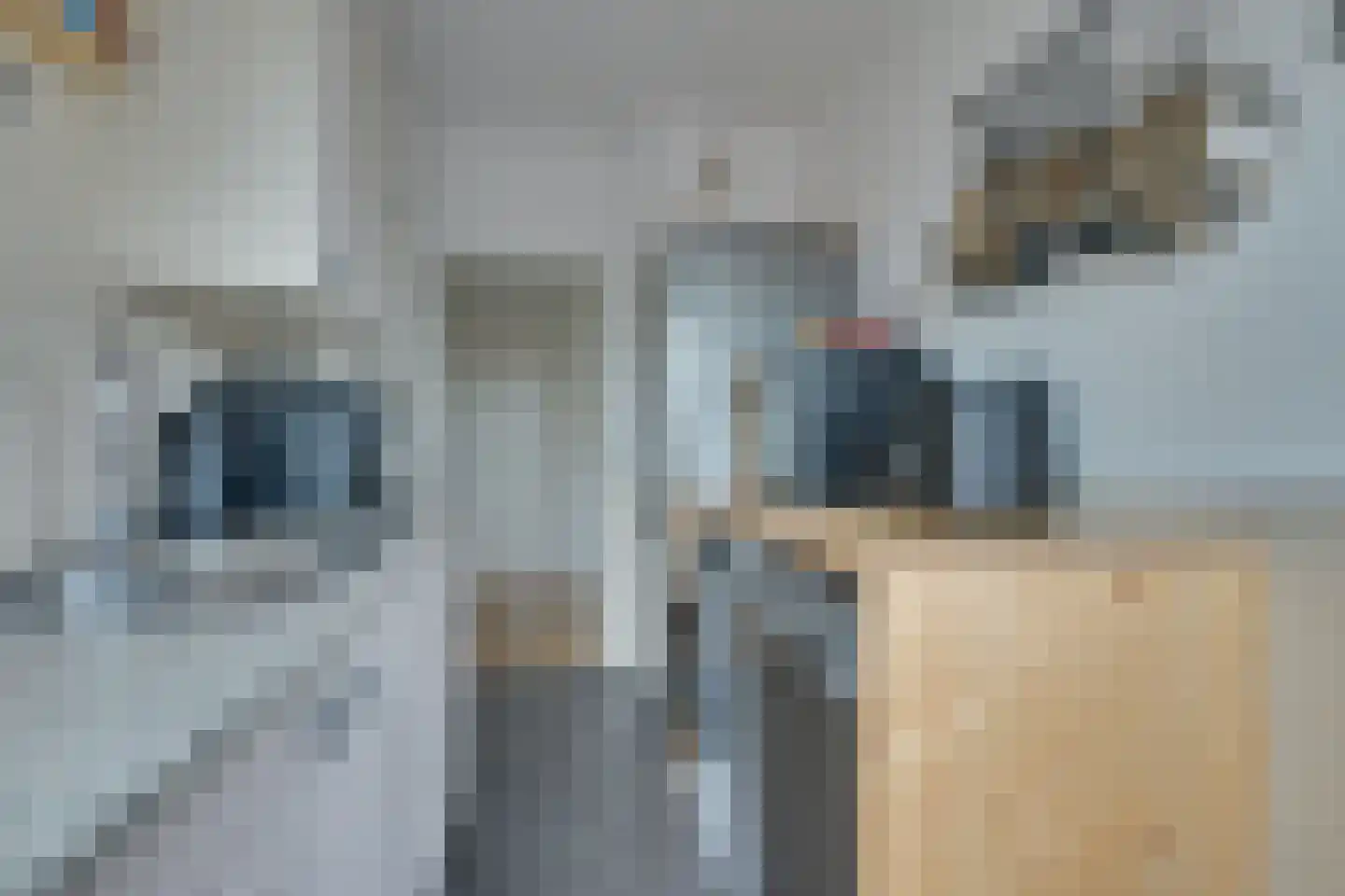 Ruusbroechof 15 Alkmaar thumbnail 20