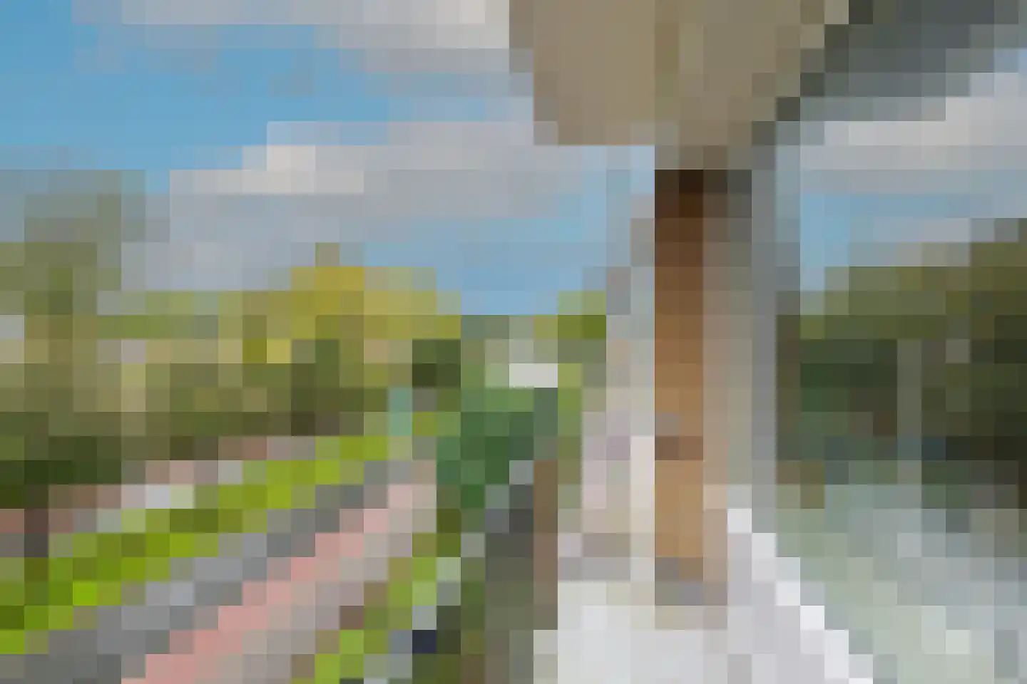 Ruusbroechof 15 Alkmaar thumbnail 32