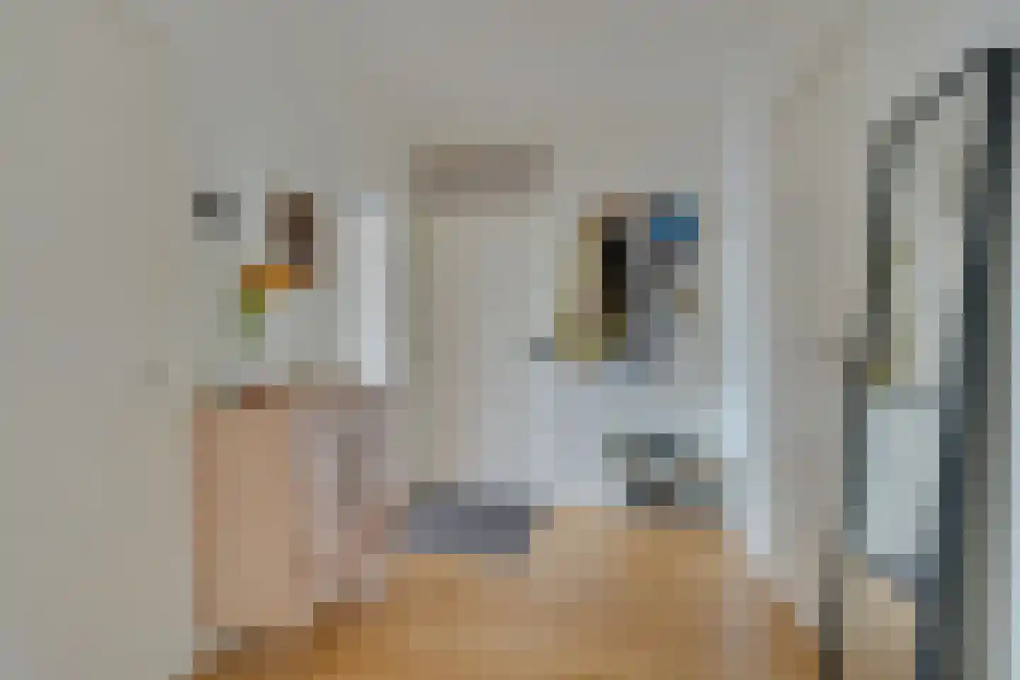 Ruusbroechof 15 Alkmaar thumbnail 8