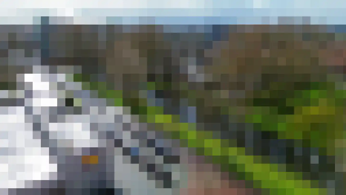 Ruusbroechof 16 Alkmaar thumbnail 43