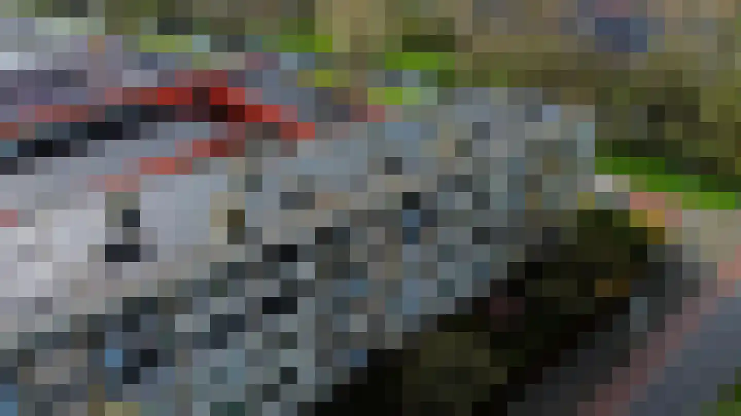 Ruusbroechof 16 Alkmaar thumbnail 45
