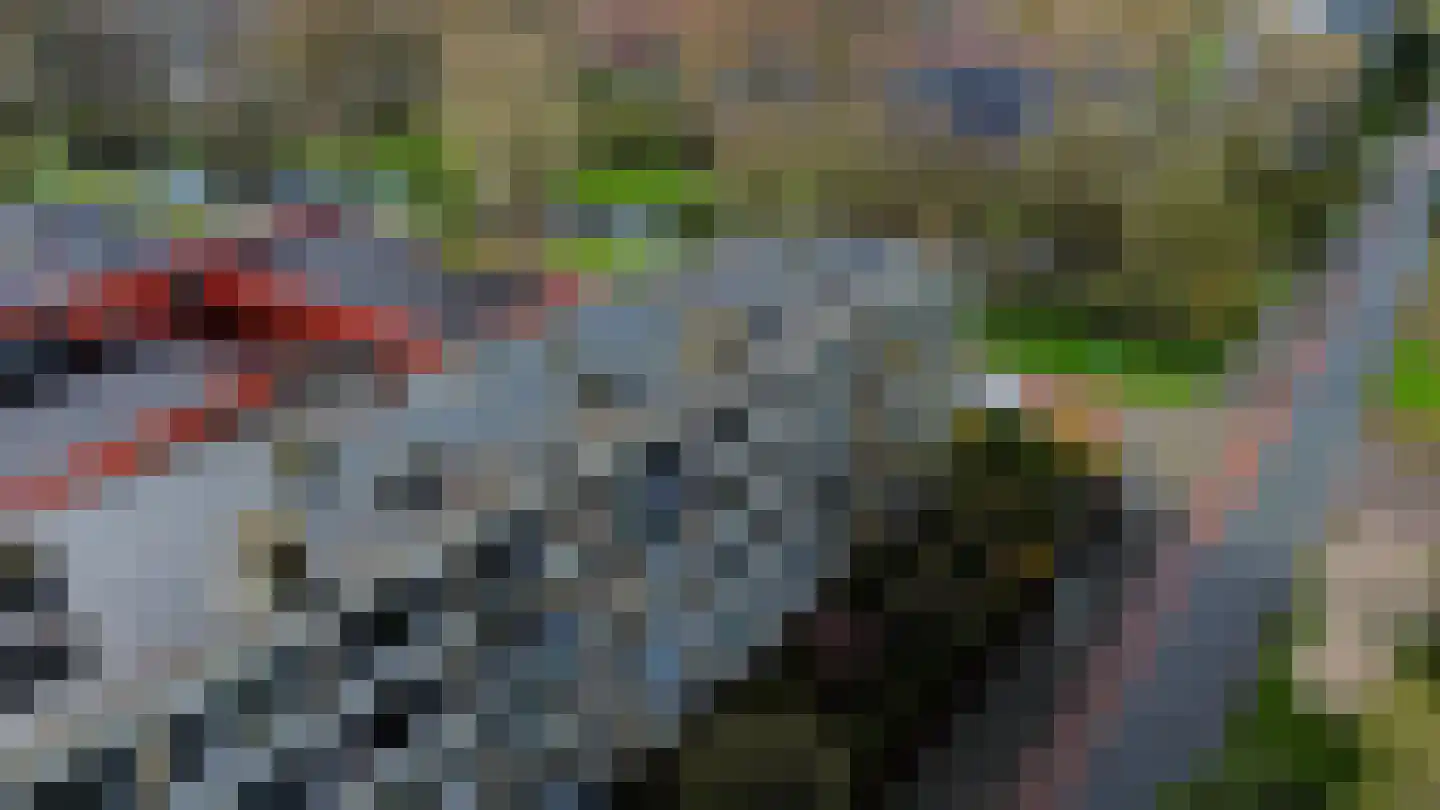 Ruusbroechof 16 Alkmaar thumbnail 47