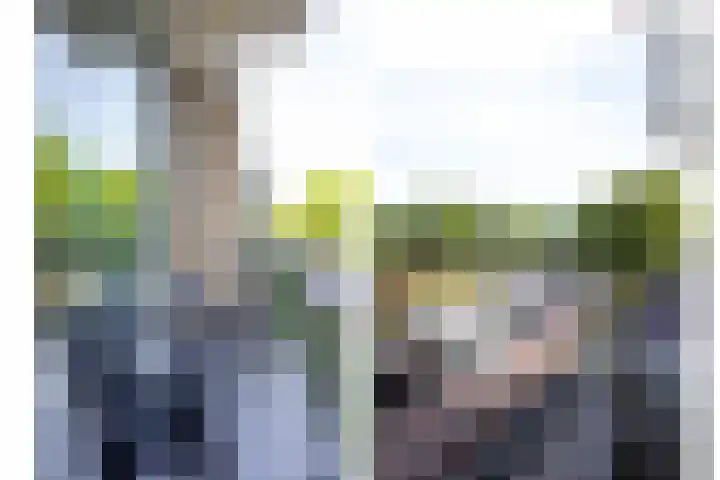 Ruusbroechof 34 Alkmaar thumbnail 13