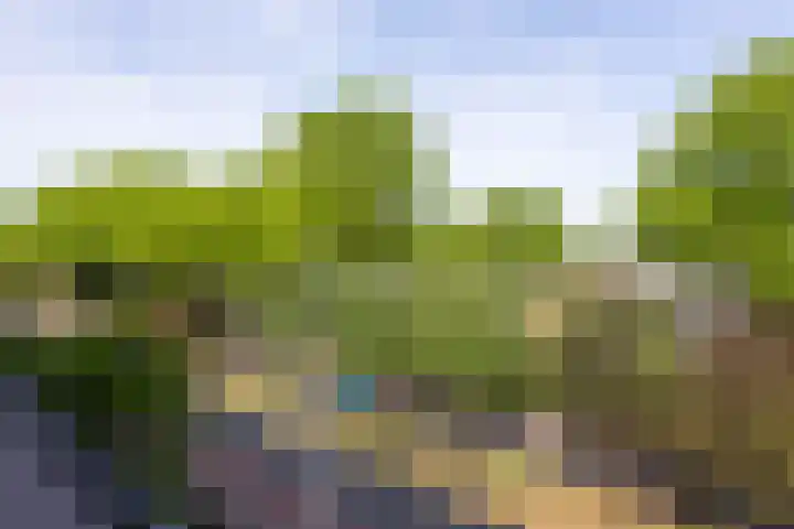 Ruusbroechof 34 Alkmaar thumbnail 14