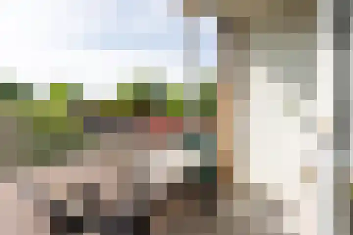 Ruusbroechof 34 Alkmaar thumbnail 20