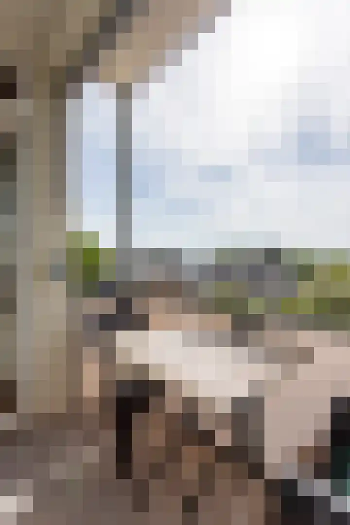 Ruusbroechof 34 Alkmaar thumbnail 21
