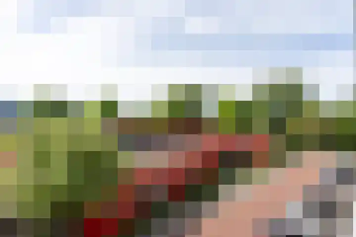 Ruusbroechof 34 Alkmaar thumbnail 23