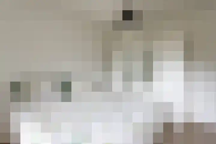 Ruusbroechof 34 Alkmaar thumbnail 25