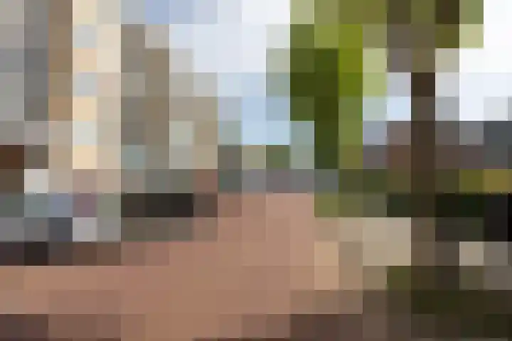 Ruusbroechof 34 Alkmaar thumbnail 39