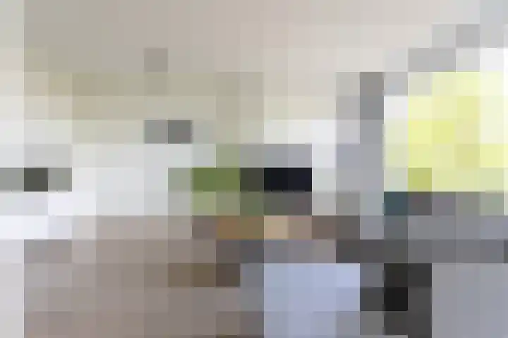 Ruusbroechof 34 Alkmaar thumbnail 4