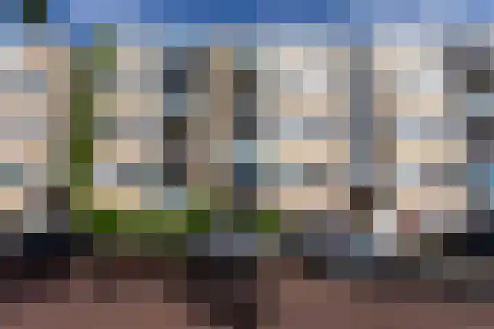 Ruusbroechof 34 Alkmaar thumbnail 40