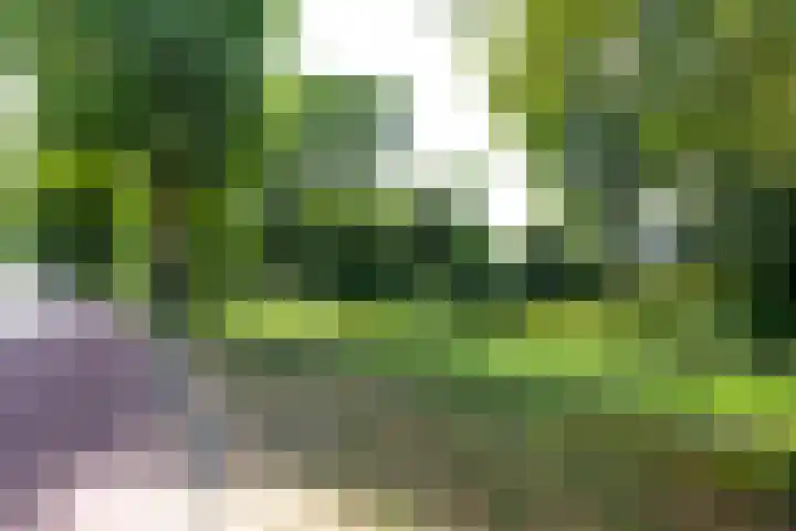 Ruusbroechof 34 Alkmaar thumbnail 43
