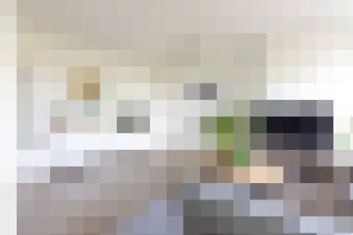 Ruusbroechof 34 Alkmaar thumbnail 5
