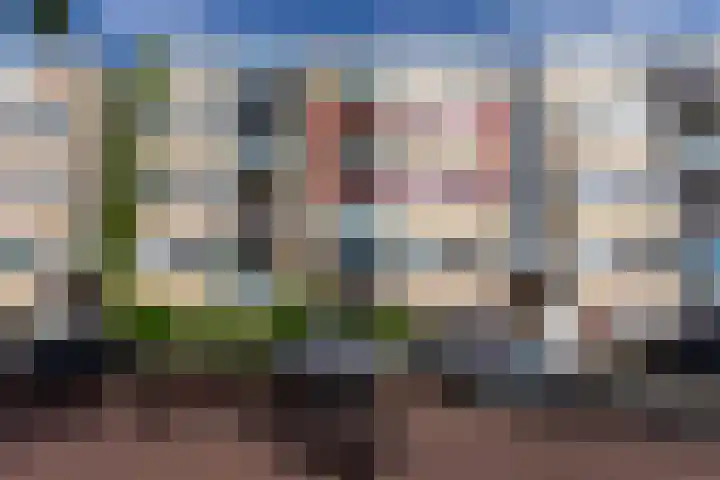 Ruusbroechof 34 Alkmaar thumbnail 57