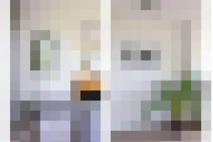 Ruusbroechof 34 Alkmaar thumbnail 8