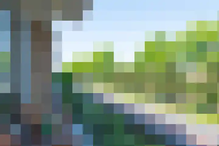 Ruusbroechof 40 Alkmaar thumbnail 12