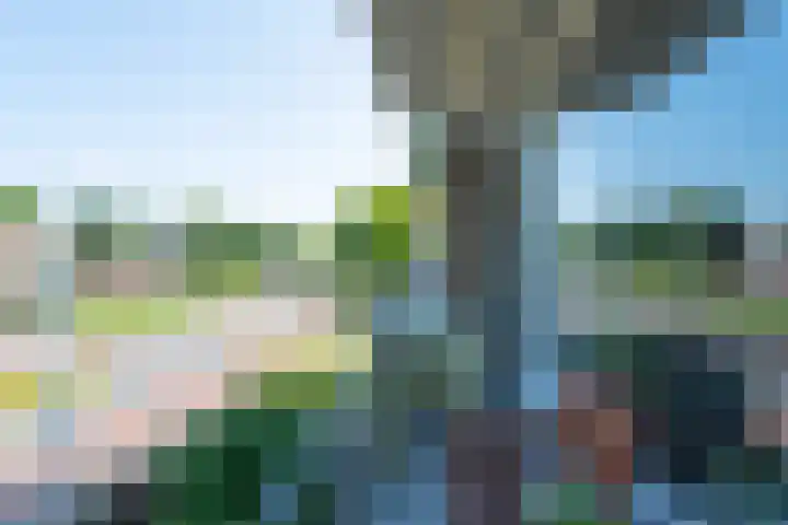 Ruusbroechof 40 Alkmaar thumbnail 13