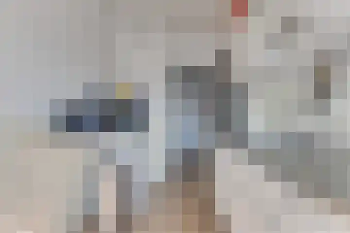 Ruusbroechof 40 Alkmaar thumbnail 17