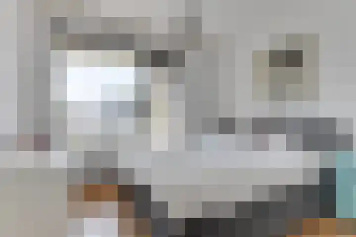 Ruusbroechof 40 Alkmaar thumbnail 20