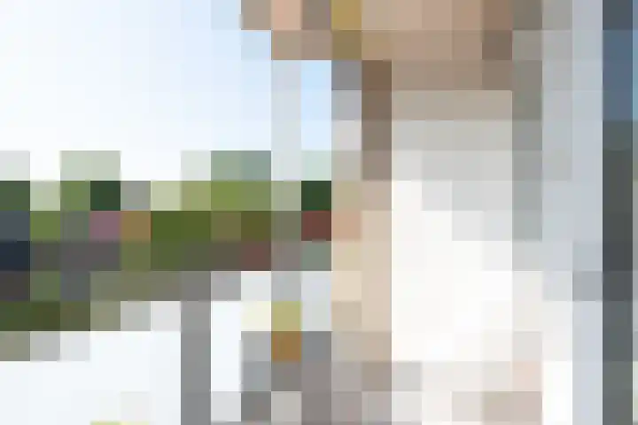 Ruusbroechof 40 Alkmaar thumbnail 21