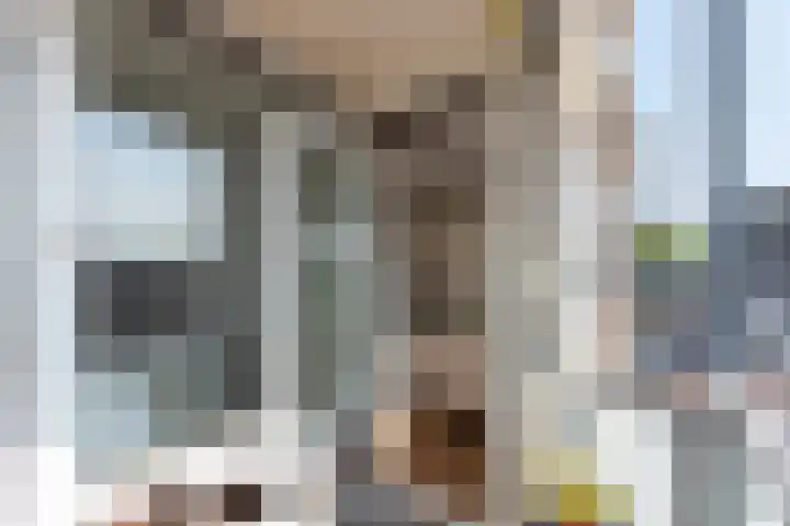 Ruusbroechof 40 Alkmaar thumbnail 22