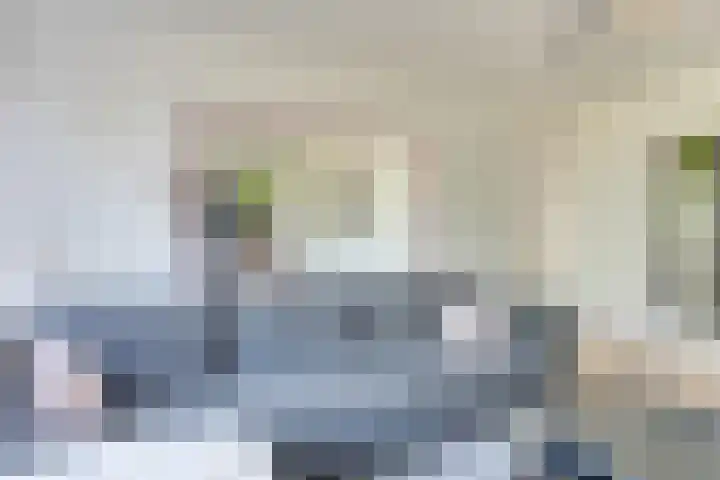 Ruusbroechof 40 Alkmaar thumbnail 8