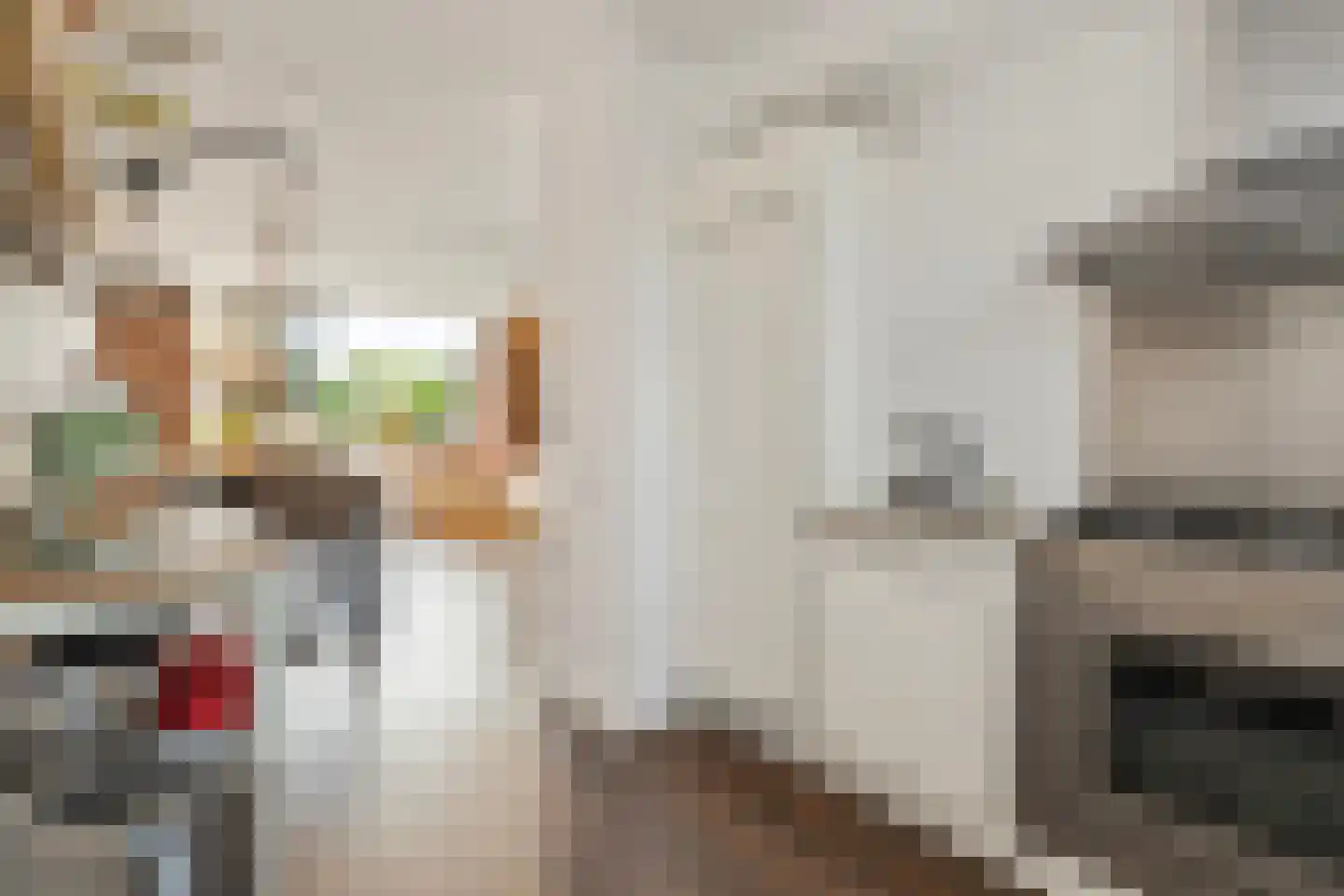 Ruusbroechof 70 Alkmaar thumbnail 10
