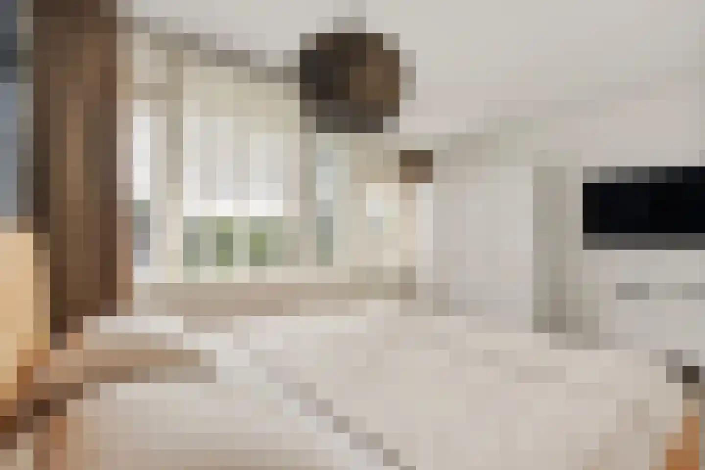 Ruusbroechof 70 Alkmaar thumbnail 16