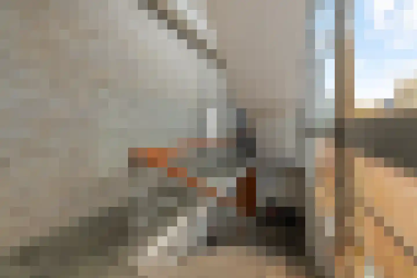 Ruusbroechof 70 Alkmaar thumbnail 27