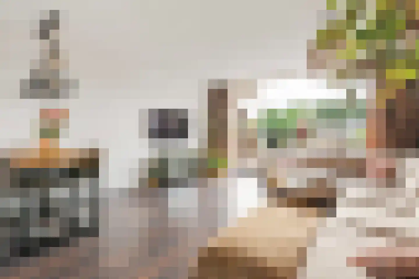 Ruusbroechof 70 Alkmaar thumbnail 4