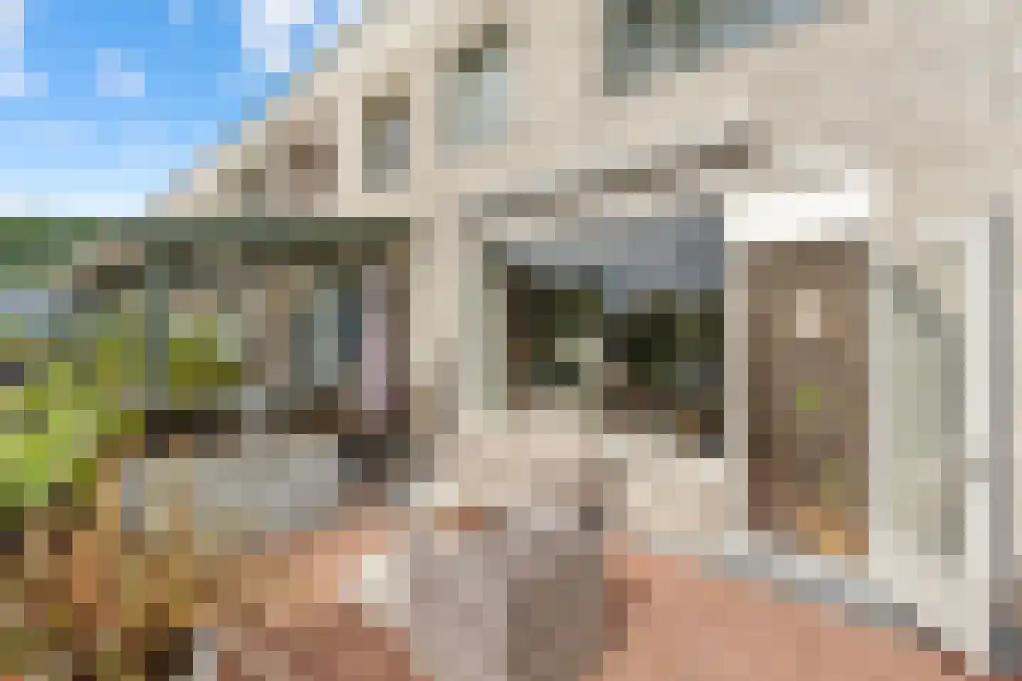 Ruusbroechof 70 Alkmaar thumbnail 5