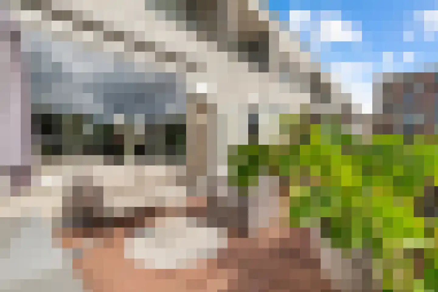 Ruusbroechof 70 Alkmaar thumbnail 6